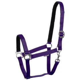 Meilleurs prix pour Licol pour cheval doublé en nylon Harrys Horse - paars - Violet - Poney