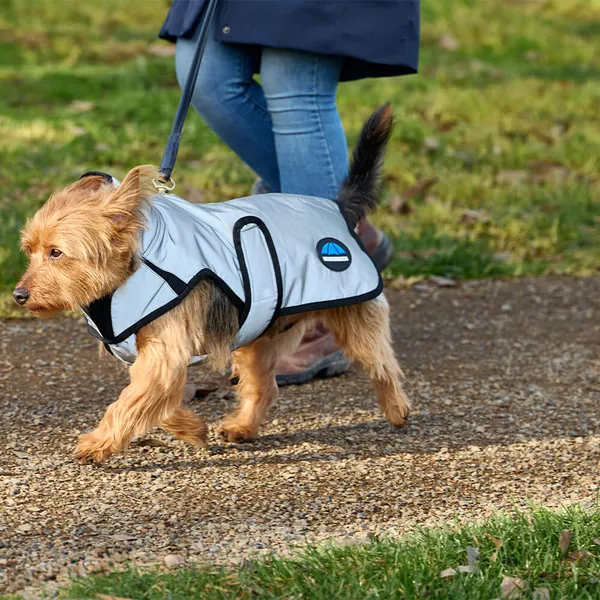 Weatherbeeta Comfitec Reflective Showerproof Dog Coat - Taille 80 – photo 4