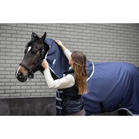 Comparer les prix de Couvre-cou pour cheval Lami-Cell Armadillo 0g