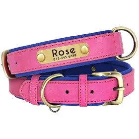 Meilleurs prix pour Ensemble Collier et Laisse en Cuir pour Chien Collier Souple Rembourré en Cuir pour Chiens Petits Moyens Grands Avec Plaque Nominative Gravée Gratuite S
