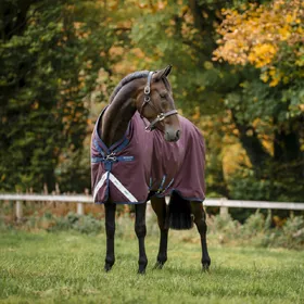 Meilleurs prix pour Horseware Amigo 1200D Turnout 250g - Taille 165 - Rouge