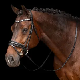 Meilleurs prix pour Bridon équitation muserolle combinée Imperial Riding Athena - Full