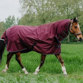 Meilleurs prix pour Equithème Tyrex 1200D – Couverture d’extérieur Combo 200g - Taille 7'0