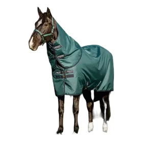 Meilleurs prix pour Couverture d'extérieur pour cheval pony Amigo 900D Plus 100g