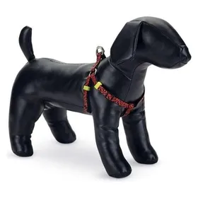 Meilleurs prix pour Beeztees BZ NY GESCH SCRIBBLES NOIR (Chien, Gnral), Collier + laisse