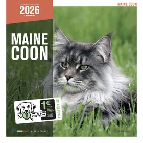 Meilleurs prix pour Calendrier Martin Sellier Maine Coon