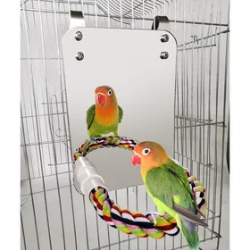 Meilleurs prix pour Support de corde pour perroquet, aras, pinsons, petites perruches, fournitures pour animaux de compagnie, miroir pour oiseaux avec perchoir, cage, balançoire, jouet gray