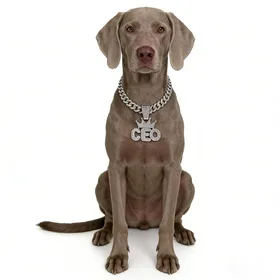 Meilleurs prix pour Chaîne pour chien cubaine, Collier pour chien en alliage, Collier doré pour chiens de petite à grande taille Ceo Boss Bijou Pendentif de luxe Accessoire Nouveau 12inch(30cm)