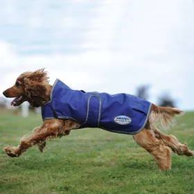 Meilleurs prix pour WeatherBeeta – Comfitec Premier Free Duo Deluxe Parka pour chien - Taille 25