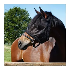 Comparer les prix de Masque anti-mouches pour cheval sans oreilles Kavalkade