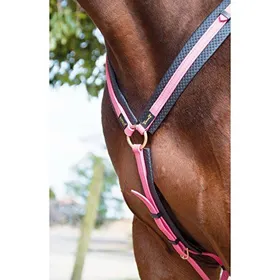 Comparer les prix de T·De·T - Collier De Chasse Biotack Fuchsia Cheval