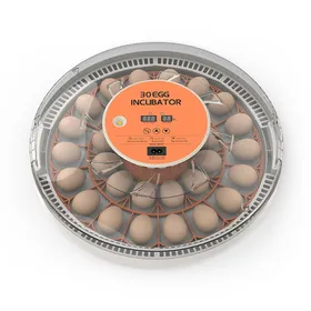 Meilleurs prix pour Incubateur pour 30 œufs avec retournement automatique des œufs, contrôle de l'humidité, affichage de la température et mire-œufs EU orange