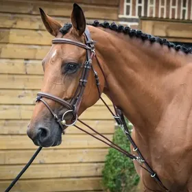 Comparer les prix de Gogue pour cheval Jump'In One