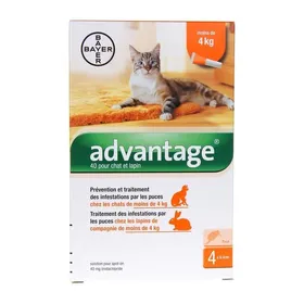 Meilleurs prix pour Pipette anti-puces - BAYER - Advantage Chat