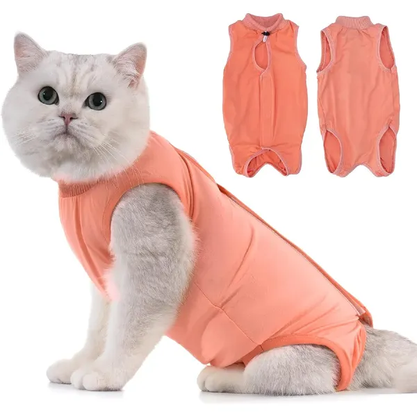 Combinaison de Récupération pour Chat Anti Léchage Orange L – photo 2
