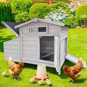 Comparer les prix de Poulailler sur Pilotis avec Nichoir en Bois surélevé Facile à Nettoyer Abri pour Poules contre les Prédateurs