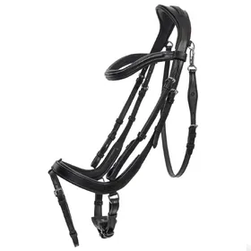 Comparer les prix de Bridon équitation pour cheval QHP Salerno