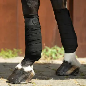 Meilleurs prix pour Bandes de repos pour cheval HKM Julie