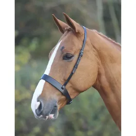 Meilleurs prix pour Muserolle cavesson pour cheval Velociti Gara Hunter
