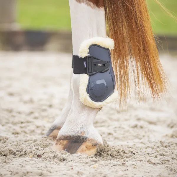 Protège-boulets pour cheval QHP Sensisoft – photo 5