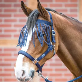 Meilleurs prix pour Tétière anti-mouches Busse VISBY II - Taille XWB - Bleu