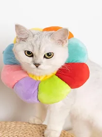 Comparer les prix de Collerette Élisabéthaine chat fournitures pour chat anti-morsure et anti-léchage arc-en-ciel collerette Élisabéthaine tissu doux Élisabeth blanc couvre-tête pour animal de compagnie L red