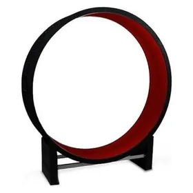 Meilleurs prix pour Roue d'exercice Canadian Cat Company  - environ L 131 x l 31 x H 144 cm