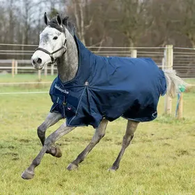 Meilleurs prix pour Couverture d'extérieur pour cheval de pluie doublée polaire Horze Avalanche 150g