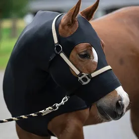 Comparer les prix de Couvre-cou en lycra pour cheval Lami-Cell