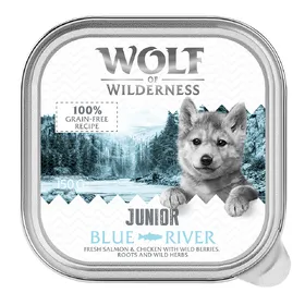 Meilleurs prix pour Wolf of Wilderness JUNIOR Duo de protéines 6 / 24 barquettes de 150 g pour chiot - 24 x 150 g Blue River – poulet, saumon