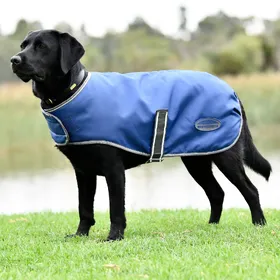 Comparer les prix de Weatherbeeta Comfitec Windbreaker Free Manteau pour chien - Taille 30
