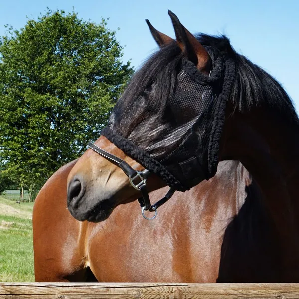Masque anti-mouches pour cheval sans oreilles Kavalkade – photo 2