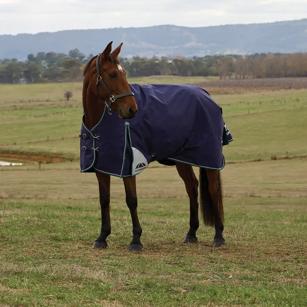 WeatherBeeta ComFiTec Plus Dynamic Turnout High Neck 100g - Taille 135 - Bleu – photo 2