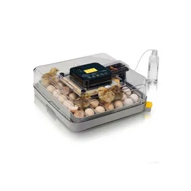 Meilleurs prix pour Couveuse Oeuf Automatique 48 oeufs - ALIGHTUP - Retournement Automatique et Contrôle de Température Affichage dHumidité