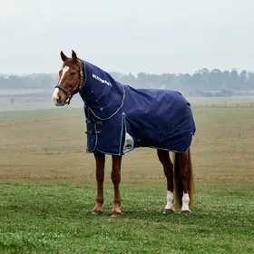 Comparer les prix de Couverture dextérieur pour cheval détachable au coup Weatherbeeta Comfitec Plus Dynamic 220g - Bleu - 120 cm