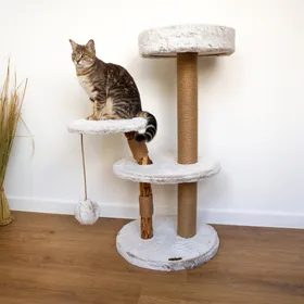 Meilleurs prix pour Petit arbre à chat d' intérieur en bois - 99 cm - Zolia Kaa - Ø50x99cm