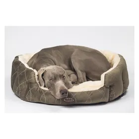 Meilleurs prix pour Panier confort ovale pour chien Nobby Pet Ceno
