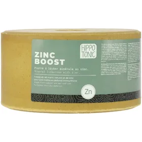 Meilleurs prix pour Pierre à sel cheval Hippotonic Zinc boost