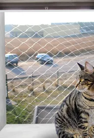 Comparer les prix de Filet de protection transparent pour chat Zolia Angel - 3 tailles disponibles - Lot de 3x 4x3 m