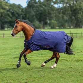 Comparer les prix de Couverture pour cheval Bucas Therapy Turnout Light Big Neck