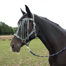 Meilleurs prix pour Frontalier anti-mouches avec boucles de Busse - Taille P - Vert