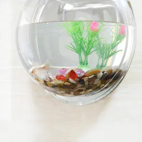 Meilleurs prix pour Décoration de la maison, réservoir de poisson mural, bol de poisson rouge, Aquariums suspendus en acrylique, pot de fleurs, Vase de fleur 150mm diameter & type 2