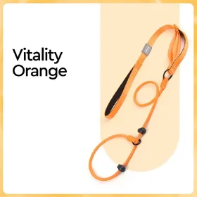 Comparer les prix de Laisse coulissante en nylon pour chien, laisse et collier de dressage pour chien avec double poignée, laisse robuste pour chien, laisse de promenade pour chiot sans traction 170cm x 0.6cm noir