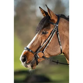 Meilleurs prix pour Bridons équitation HFI German