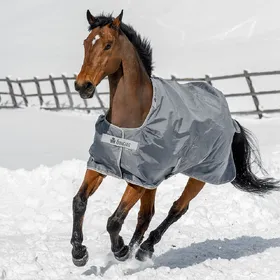 Comparer les prix de Bucas Smartex Turnout Medium Classic 150g - Iron Gate - Taille 135