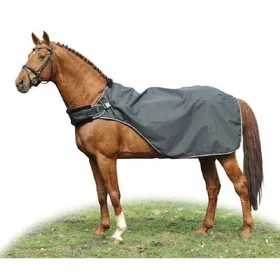 Meilleurs prix pour Couverture de marcheur pour cheval HKM Carvis