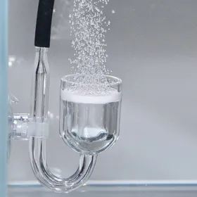 Meilleurs prix pour Nettoyant eau aquarium JBL Proflora Co2 Taifun Midi