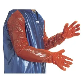 Meilleurs prix pour Gants de vêlage Kamer (x100)