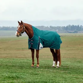 Comparer les prix de WeatherBeeta ComFiTec Plus Dynamic Turnout High Neck 100g - Taille 135 - Vert