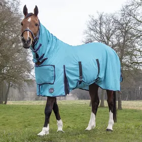 Meilleurs prix pour Couverture anti-mouches pour cheval avec couvre-cou HKM Lissabon- Style